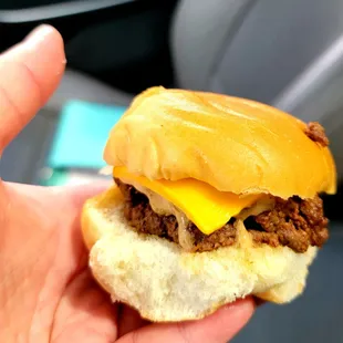 Double with cheese (for size reference)