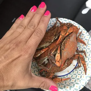 a woman's hand holding a plate of crabs