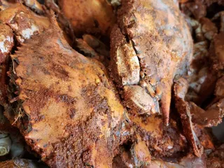 Captain Joe's Crab House