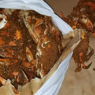 Delicious Large females