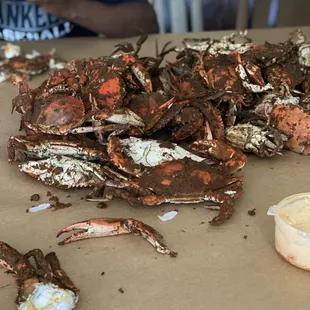 Male Blue Crabs