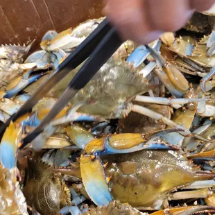 These are not #1 size crabs.