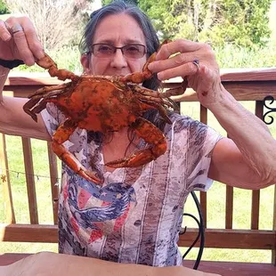 Jumbo crabs