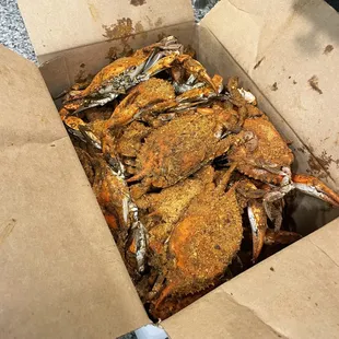 Crabs