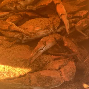 Crabs ready to eat!