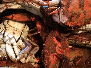 Mr. Eds Crabs