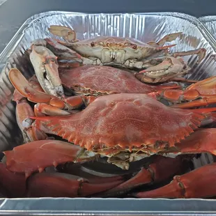  a close up of a crab in a foil container