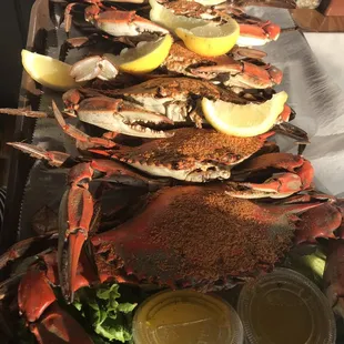 Blue Crabs