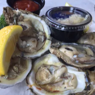 Oysters on the Half Shell