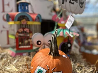 Country Sun Farms & Greenhouses