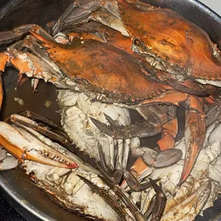 Medium Male Crabs. Small but good amount of meat that came out on every claw. Good Good.