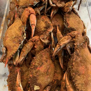 a pile of crabs in a plastic container