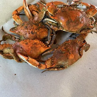 shellfish, oysters and mussels, oysters, mussels, food