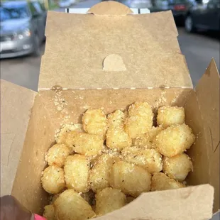 Garlic Paremsean Tots