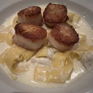 Sea Scallops