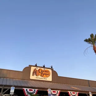 two cars parked outside