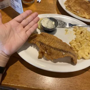 Fried fish entree