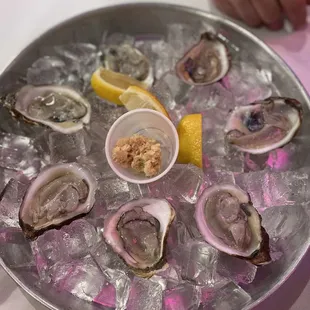 Fresh Blue Point Oysters