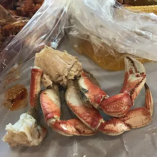 Dungeness Crab