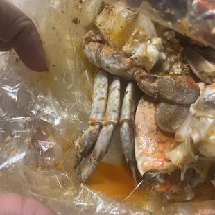 Maryland Blue Crab