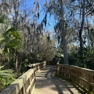 Cradle Creek Preserve