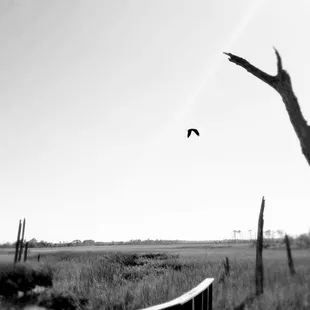 Fellow peregrinator thought I would enjoy this Energy..He was not wrong.. The vibrations are outstanding #yelpjax