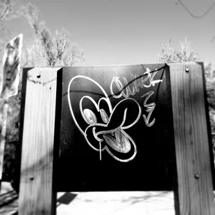 Fellow peregrinator thought I would enjoy this Energy..He was not wrong.. The vibrations are outstanding #yelpjax