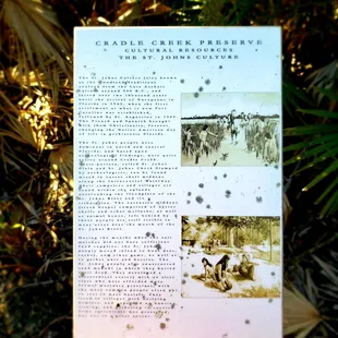 Fellow peregrinator thought I would enjoy this Energy..He was not wrong.. The vibrations are outstanding #yelpjax