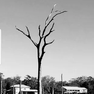 Fellow peregrinator thought I would enjoy this Energy..He was not wrong.. The vibrations are outstanding #yelpjax