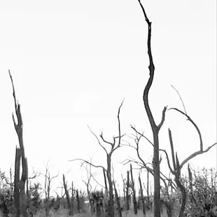 Fellow peregrinator thought I would enjoy this Energy..He was not wrong.. The vibrations are outstanding #yelpjax