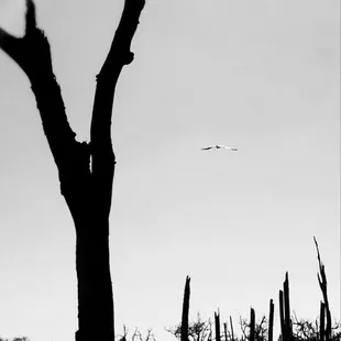 Fellow peregrinator thought I would enjoy this Energy..He was not wrong.. The vibrations are outstanding #yelpjax