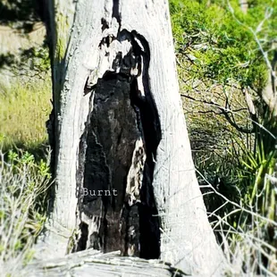 Fellow peregrinator thought I would enjoy this Energy..He was not wrong.. The vibrations are outstanding #yelpjax