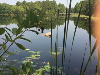 UNF Wildlife Sanctuary