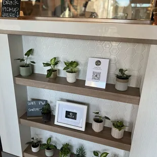 Plants for sale! Such a great touch to the decor and inventory of things to purchase.