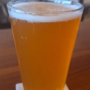 APRICOT SUNSET BLONDE