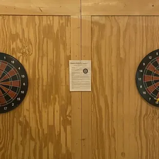 Magnetic Darts
