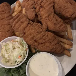Chicken Tenders &amp; Fries
