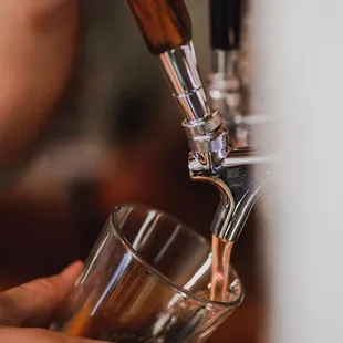 We have kombucha on tap!