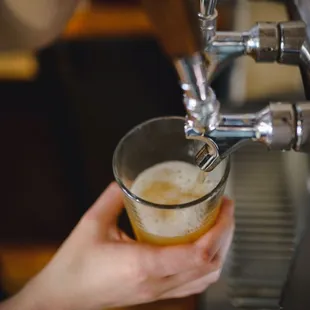 We have kombucha on tap in rotating flavors!