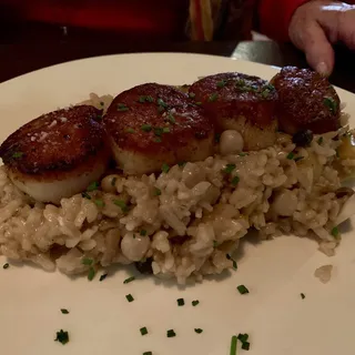 Pan Roasted Sea Scallops