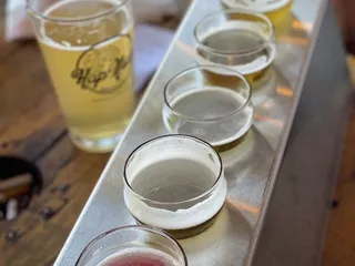 Hop Nuts Brewing