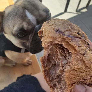 Chocolate Croissant