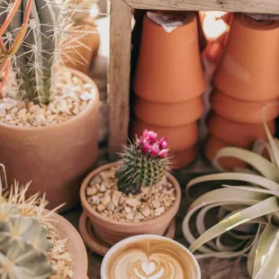 Prior to our storefront, you may have found us at Flora Grubb Gardens.