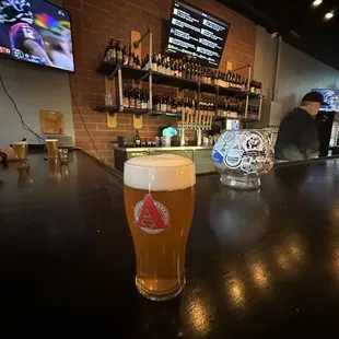 a pint of beer on a bar