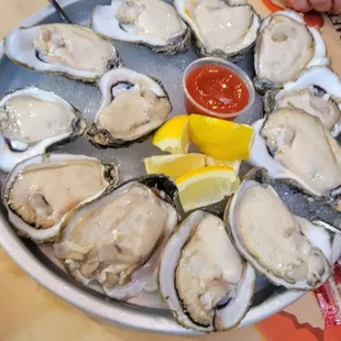 Fresh Oysters