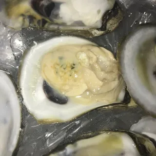 Raw Oysters