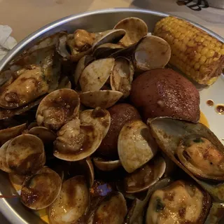 D. Mussels and Clams