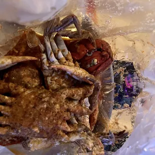 Dungeness Crab special