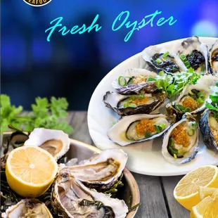 oysters, shellfish, food, mussels, oysters and mussels