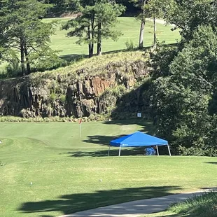 Hole #15, 143 yard Par 3 Signature hole